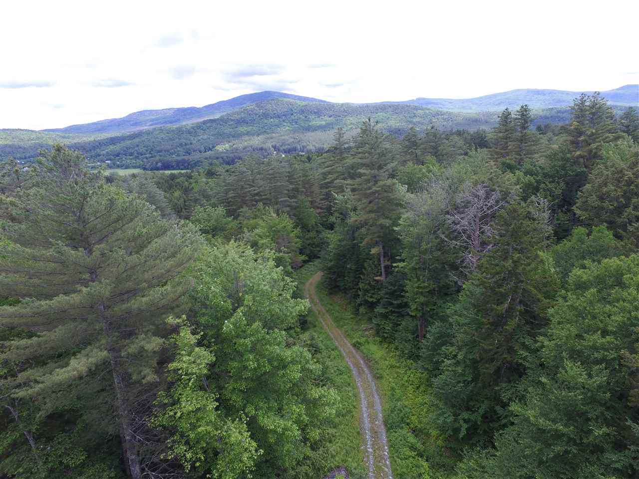 520 Bertha Springs Road - Photo 1