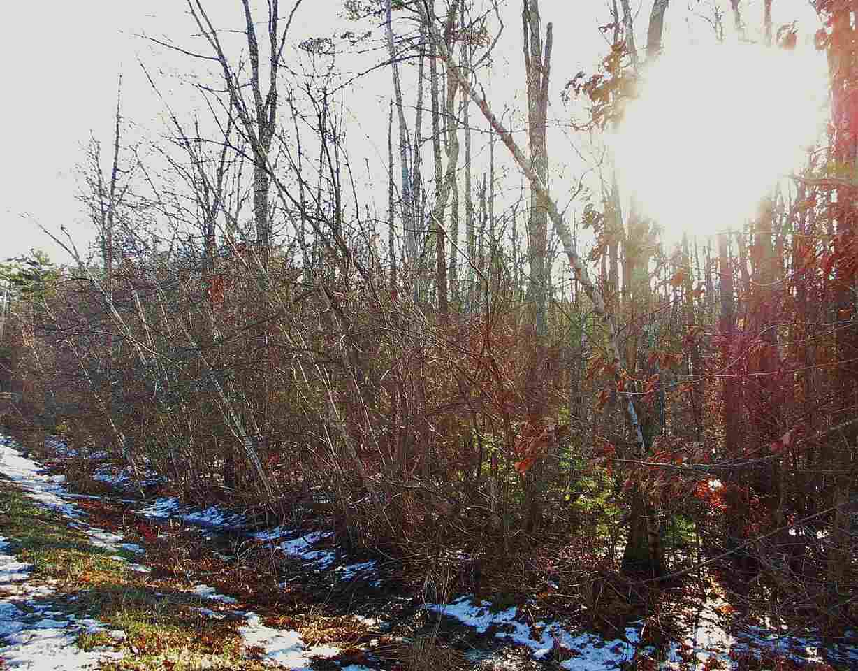 74 Ledge Road - Photo 1