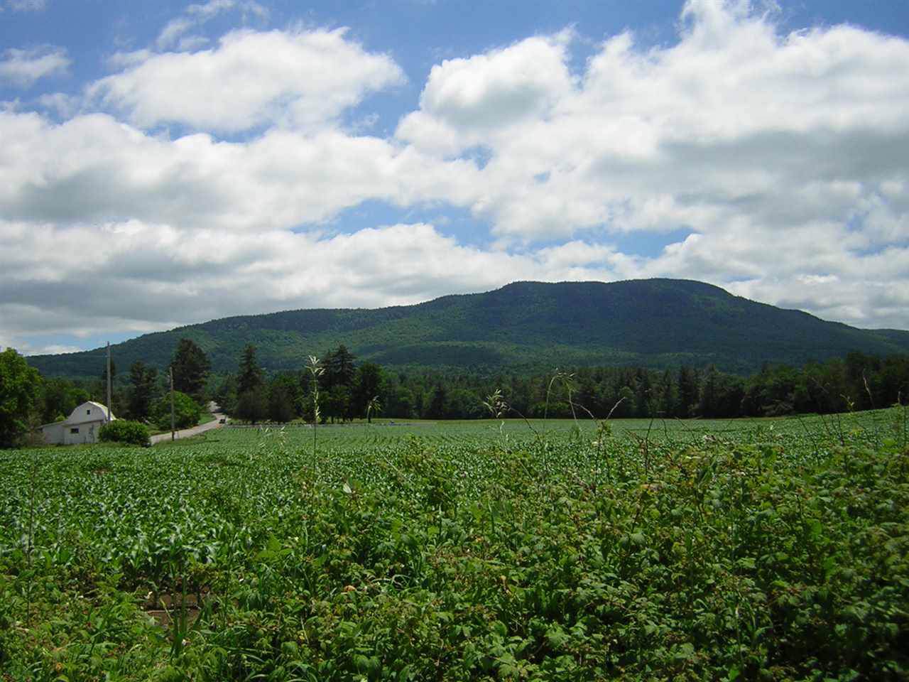000 Washington Highway - Photo 1