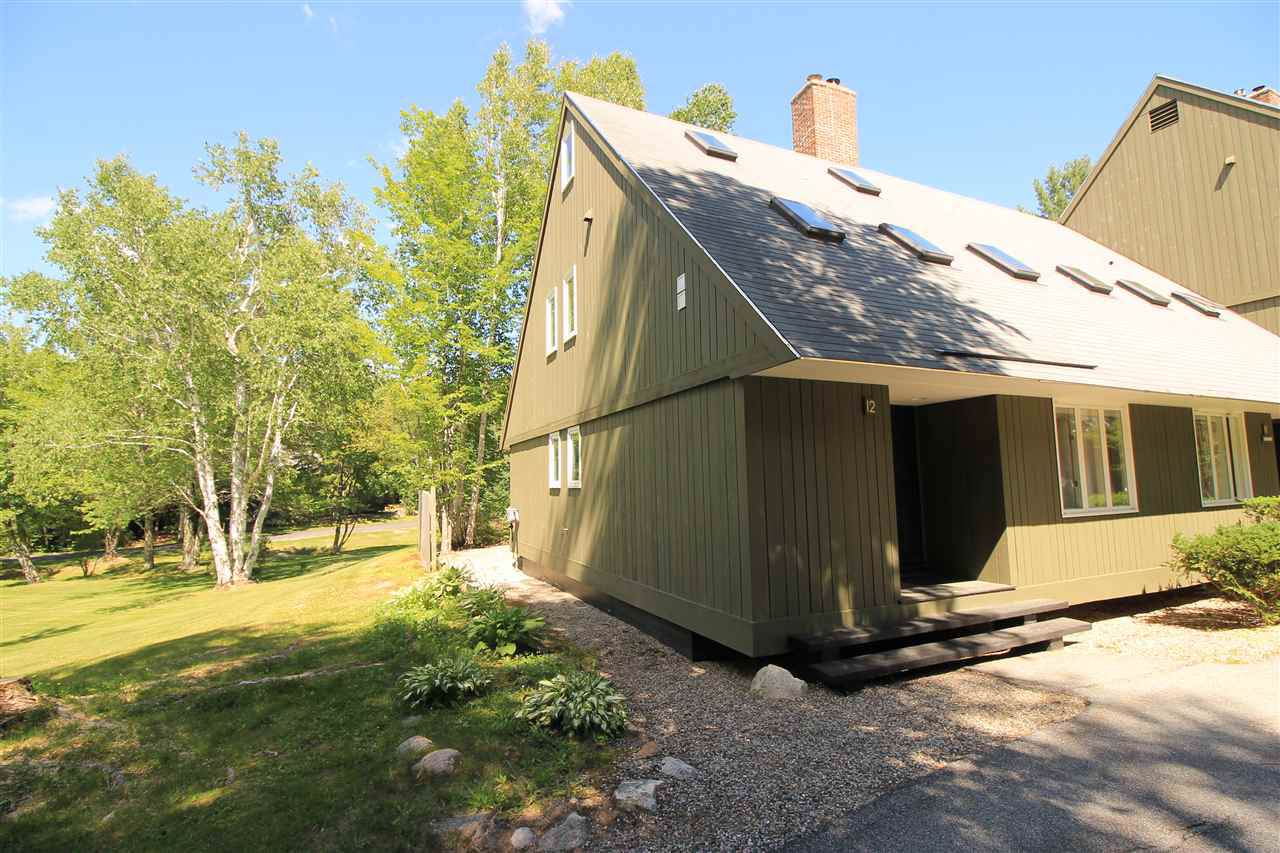 16 Davos Way - Photo 1