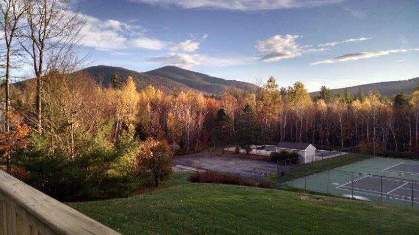 16 Purple Finch Road - Photo 1