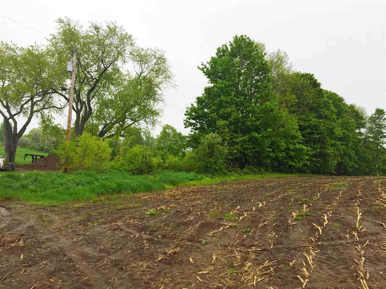 161 Morey Road - Photo 1
