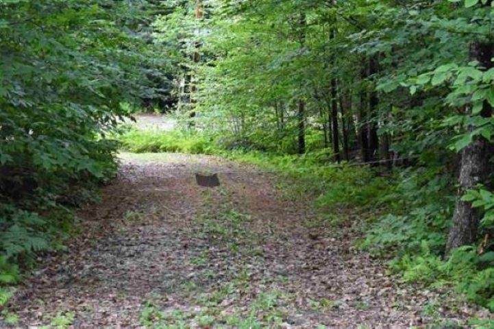 Loon Lake Road - Photo 1
