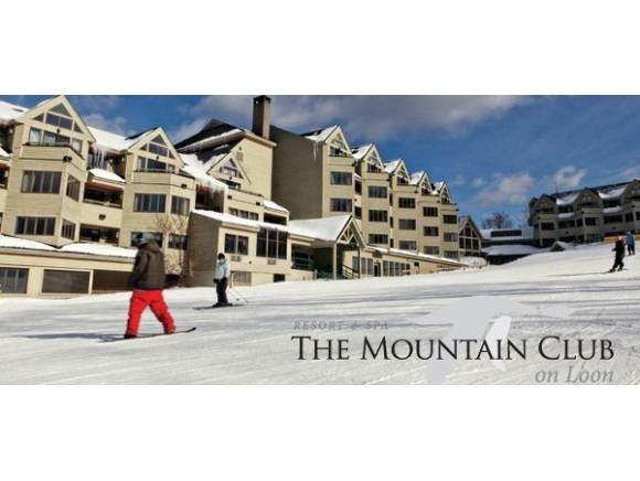 90 Loon Mountain Road - Photo 1