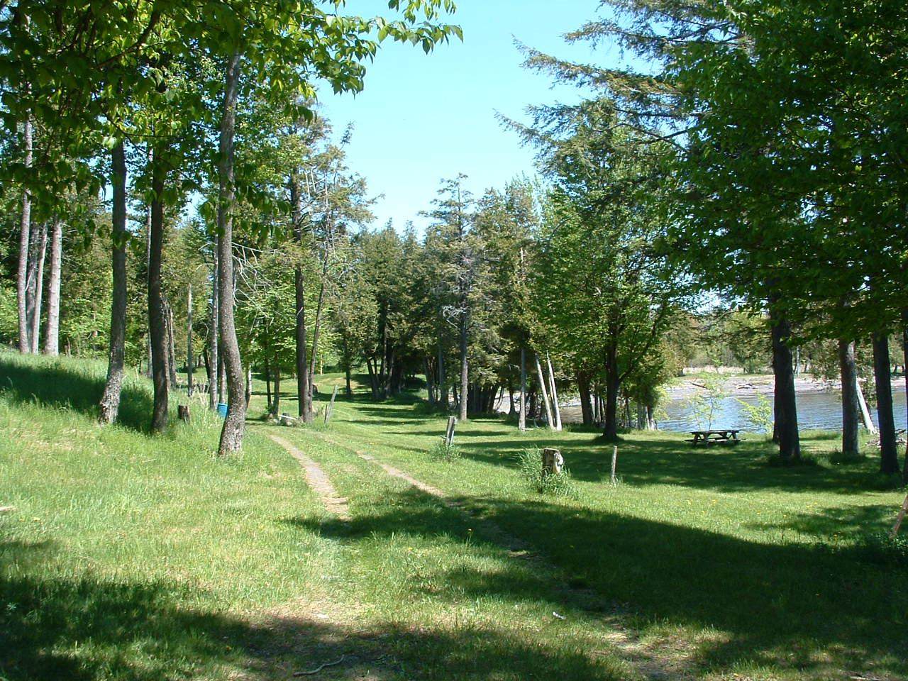 0 Coon Point - Photo 1