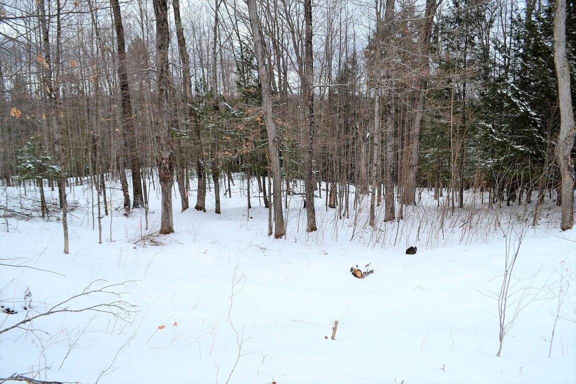 00 Valley View Circle - Photo 1