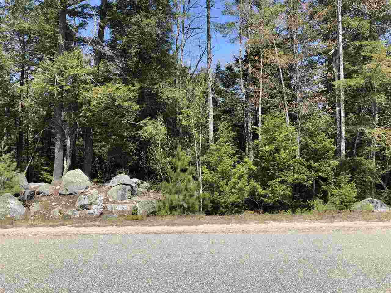 Lot 9 Adams Way - Photo 1