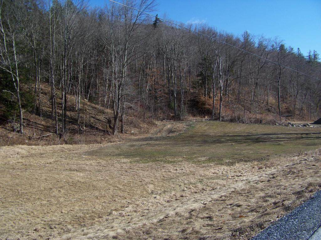 4995 Brandon Mt Road - Photo 1