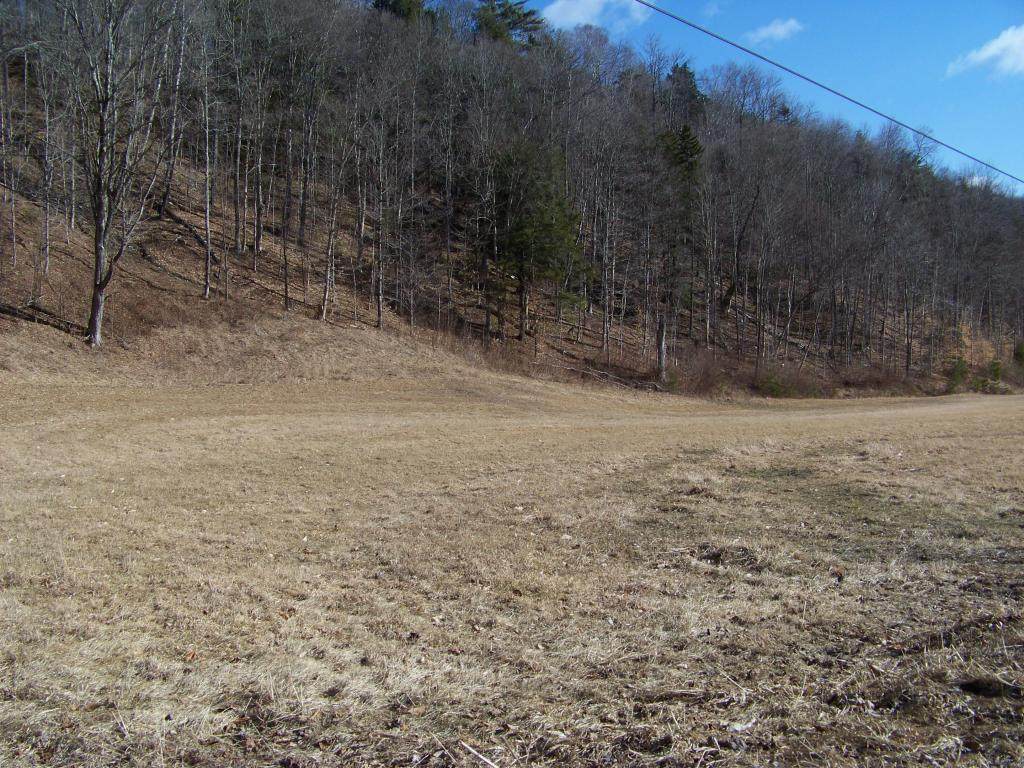 4995 Brandon Mt Road - Photo 1