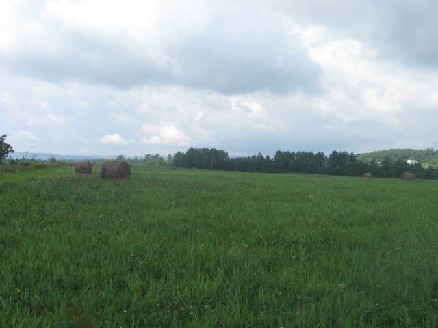 00 Route 22A Highway - Photo 1