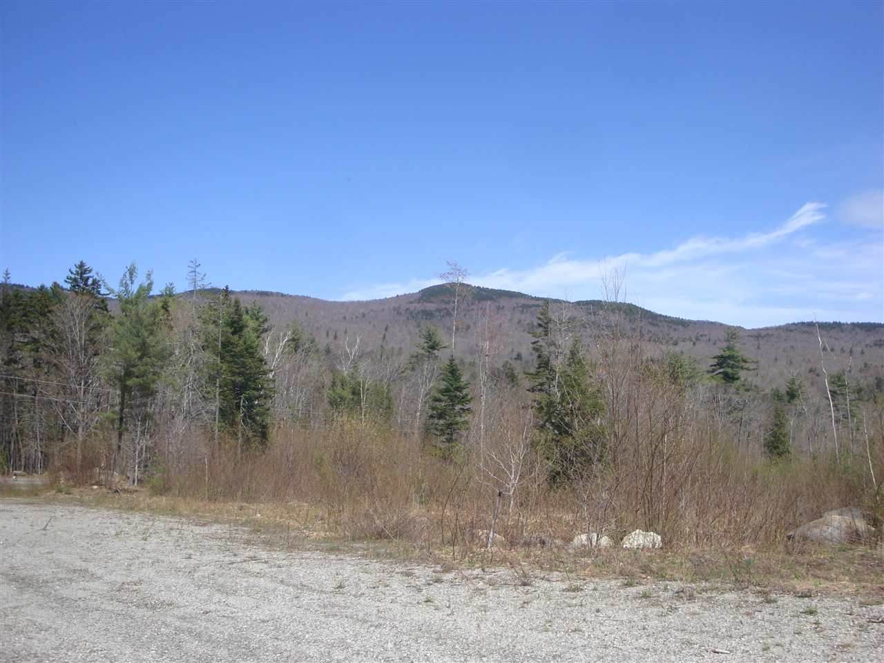 Lot 4 Old Fields Road - Photo 1