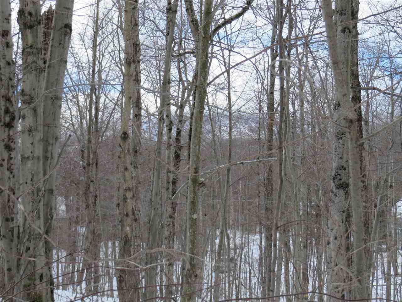 0 1.6 Acres Sugarbush Extension - Photo 1