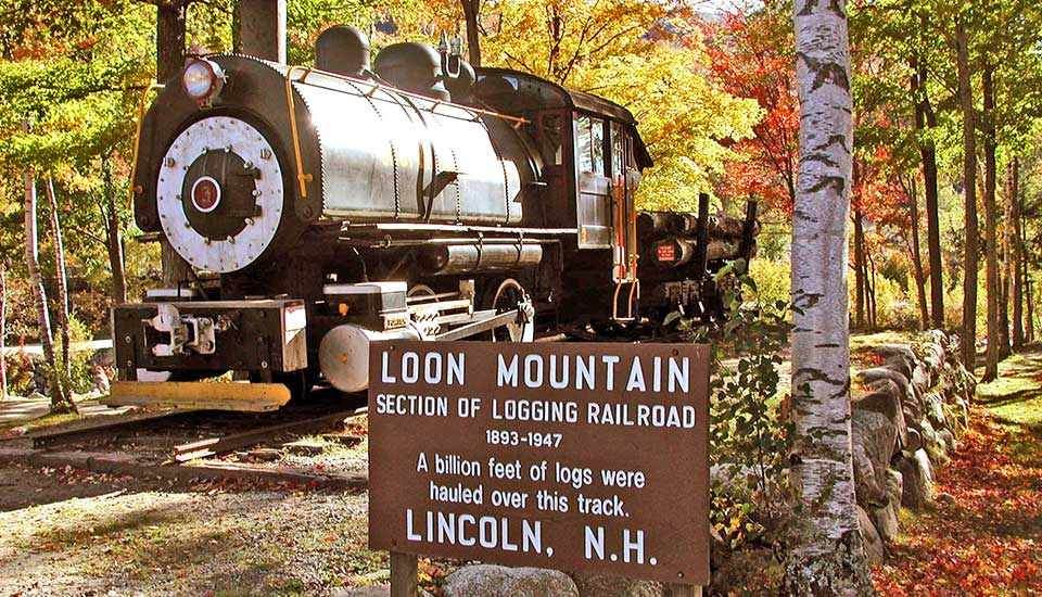 90 Loon Mountain Road - Photo 1