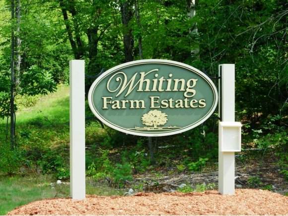 Lot 21 Whiting Farm Drive - Photo 1