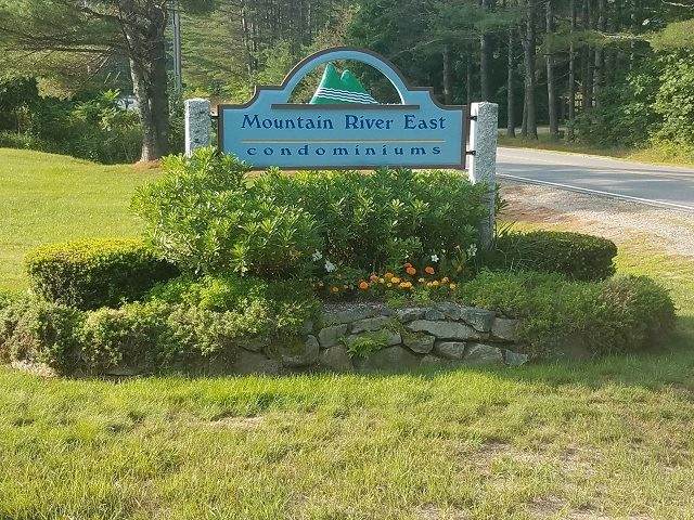 106 Mountain River East Road - Photo 1