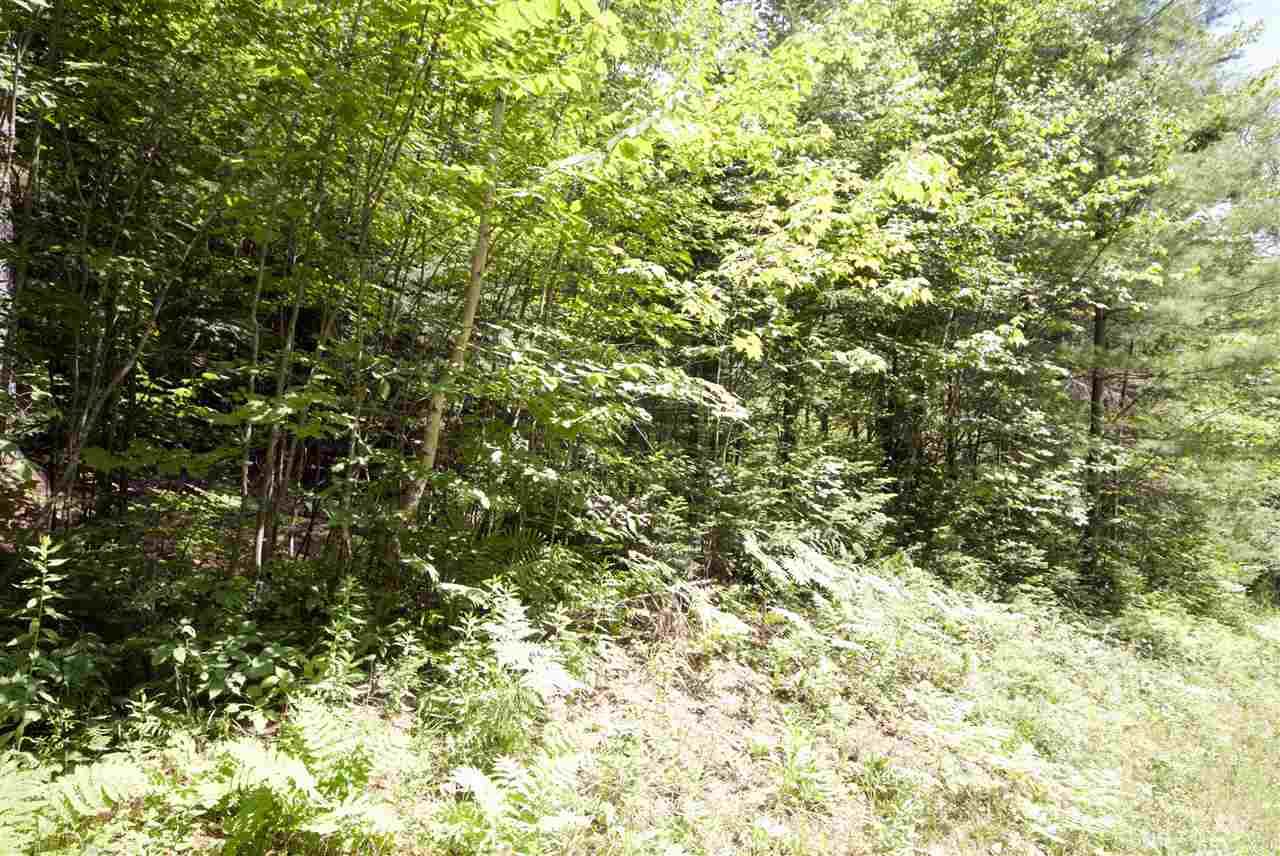 Lot #1 River Road - Photo 1