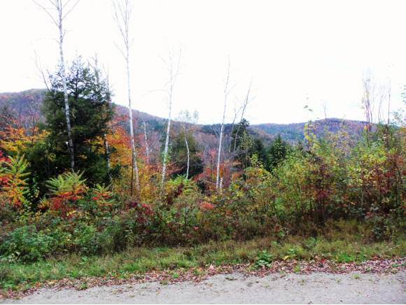 Lot 3 Mount Hunger Road - Photo 1