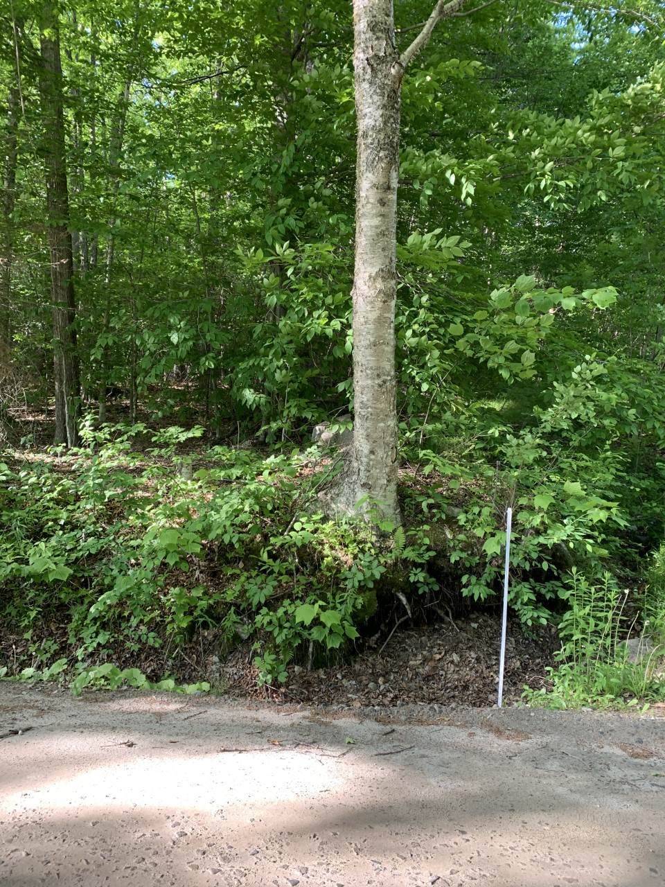 0 Stinson Lake Road - Photo 1