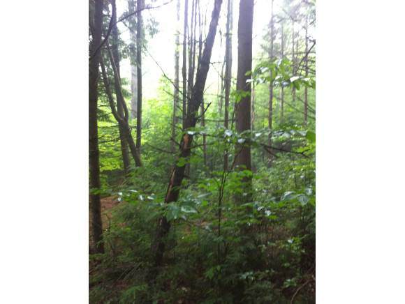 23 Countryside Road - Photo 1
