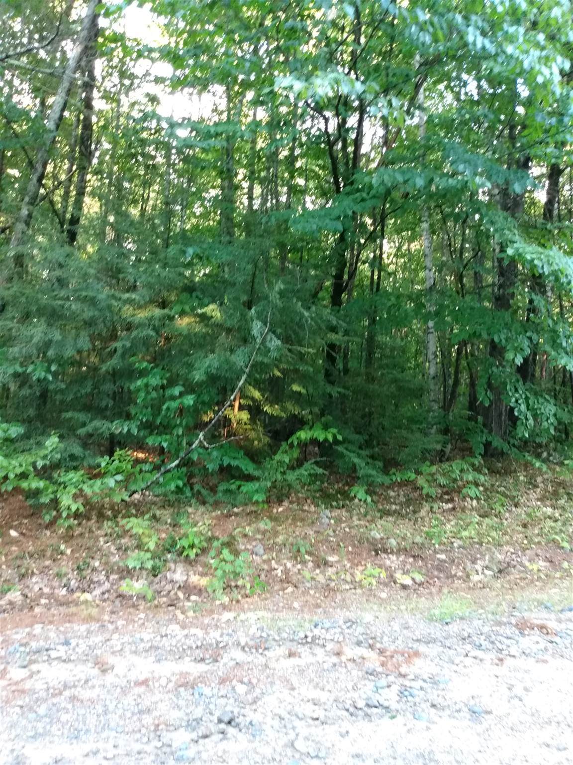 25 Woodcrest Drive - Photo 1