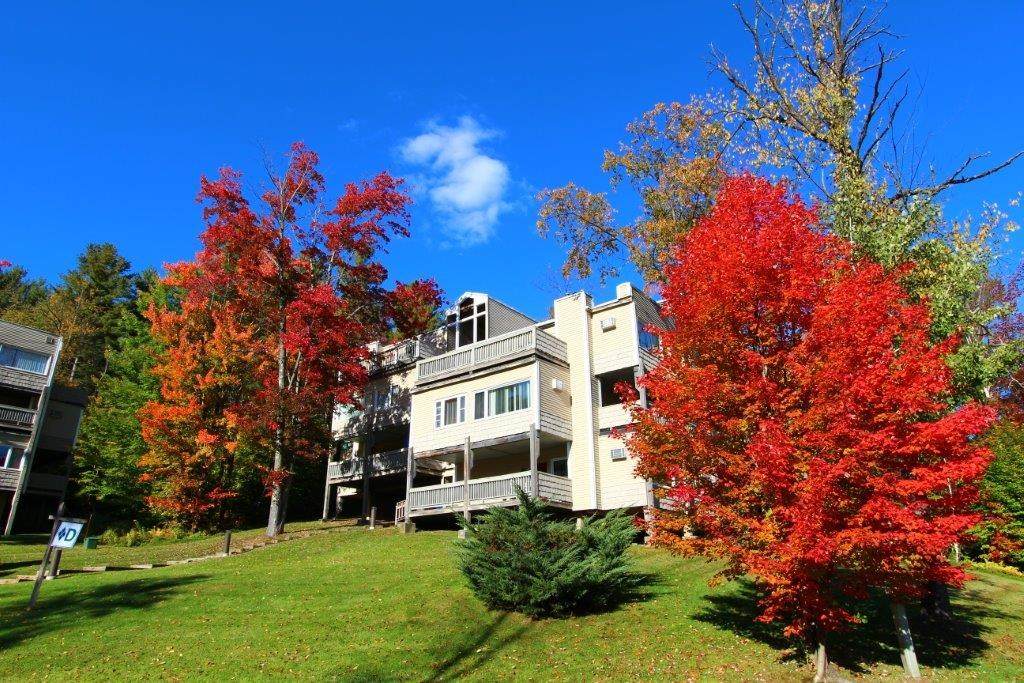 109 Mountainside Drive - Photo 1