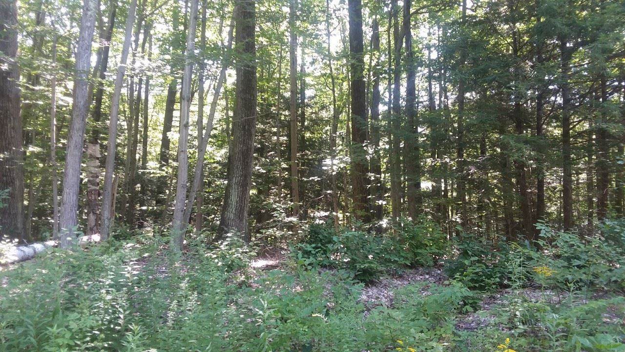New Ireland Road - Photo 1