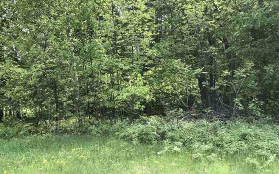 83 Old Route 16 Street - Photo 1