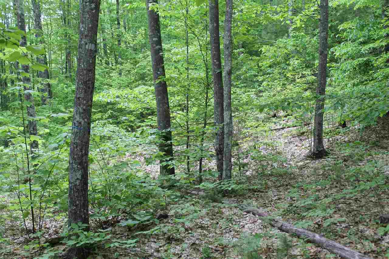 11 Route 175 Highway - Photo 1