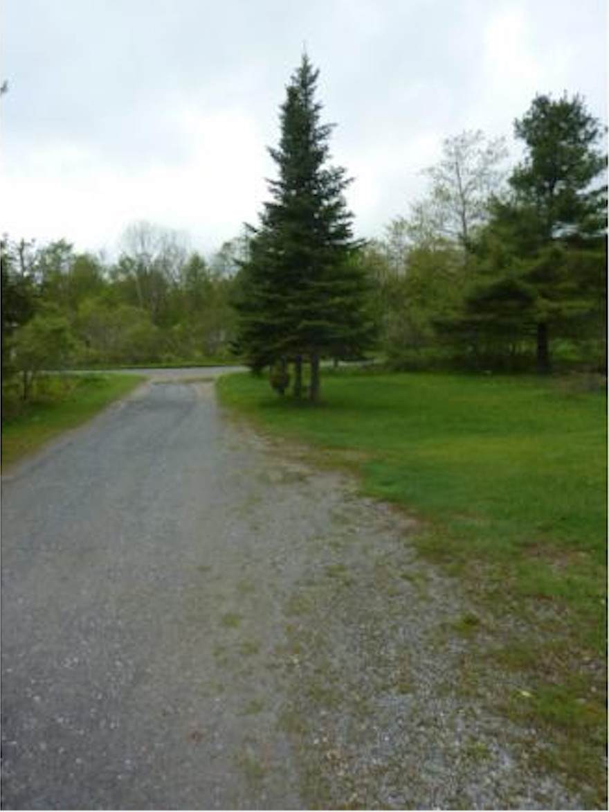 31 Robinson Road - Photo 1