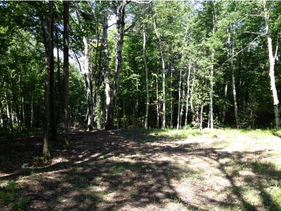 Lot #4 Woodsman Road Extension - Photo 1