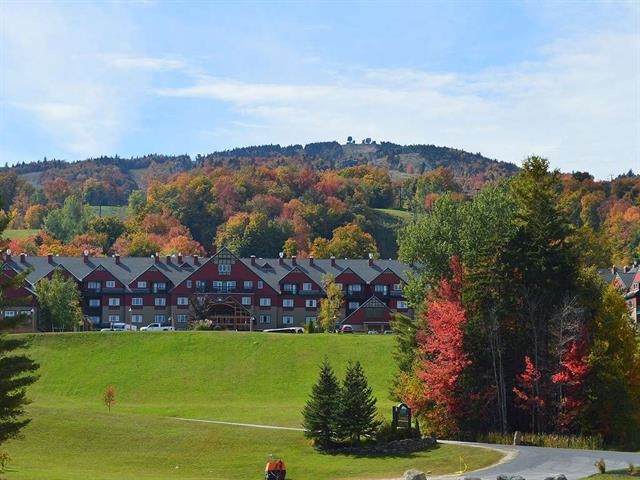 89 Grand Summit Way - Photo 1