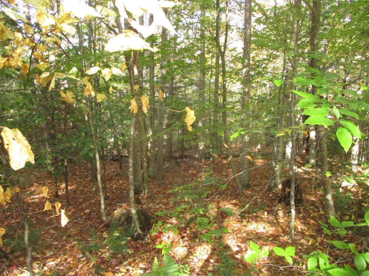 000 Brookview Lane - Photo 1