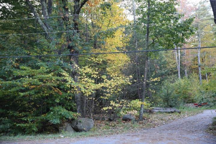 Lot J-22-1 Fitchburg Road - Photo 1