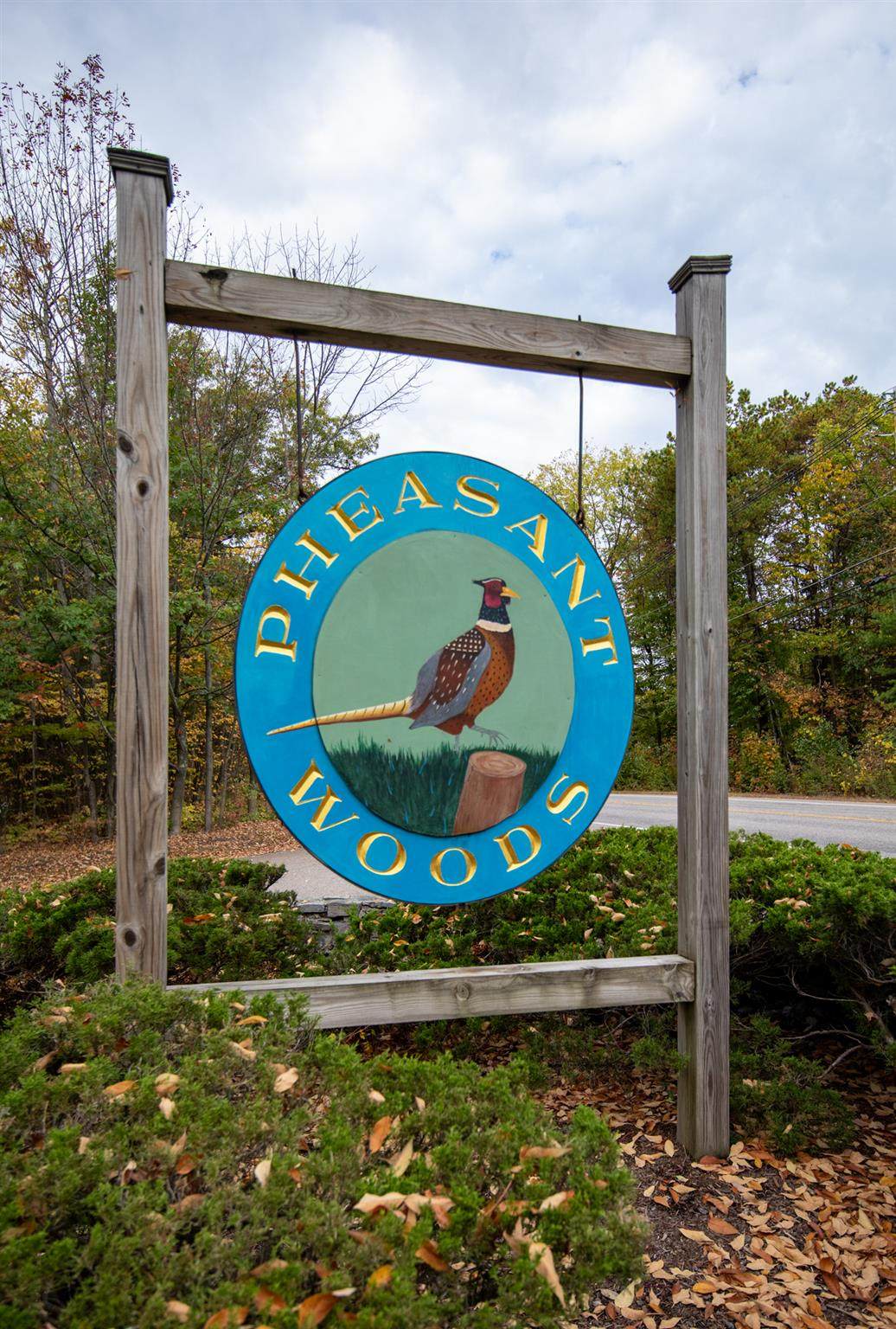 18 Pheasant Woods - Photo 1