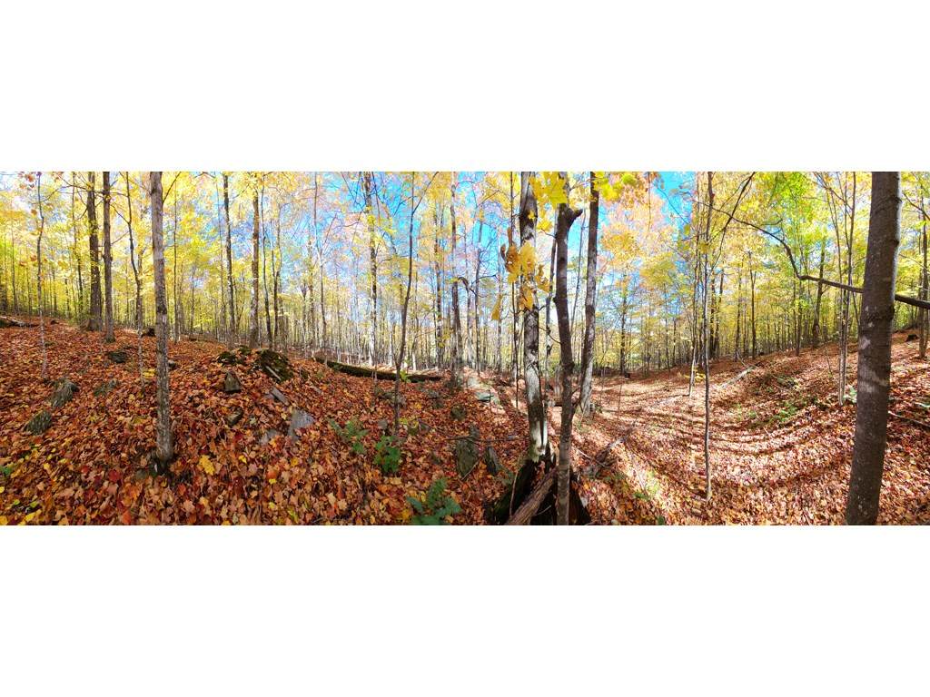 0 Rabbit Run Road - Photo 1