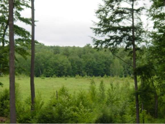 33 Corson Drive - Photo 1