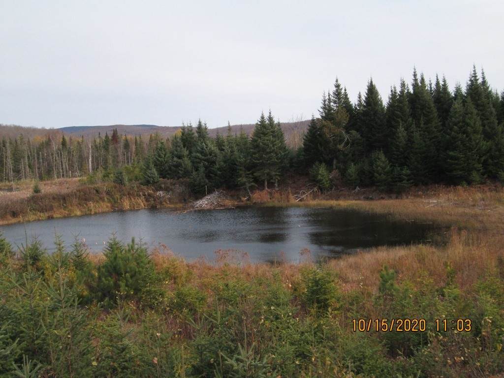 10193 Vt 114 Route - Photo 1
