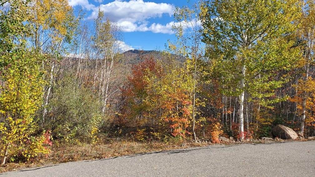 Ledge View Drive - Photo 1
