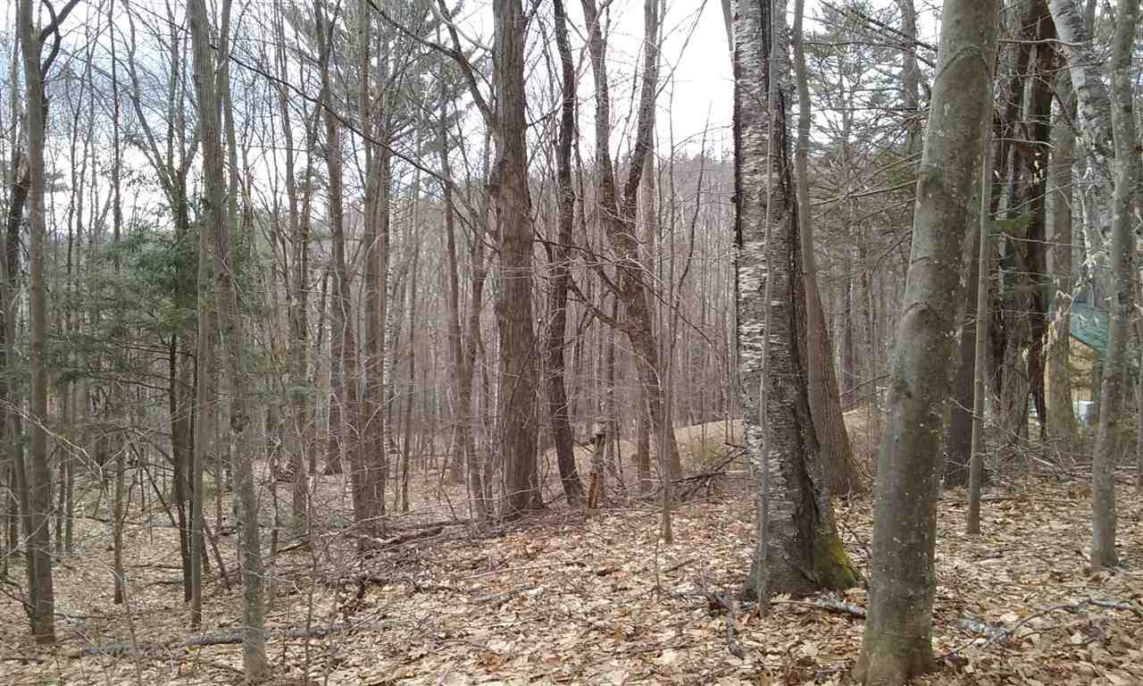 017-017-022 Holland Trail - Photo 1