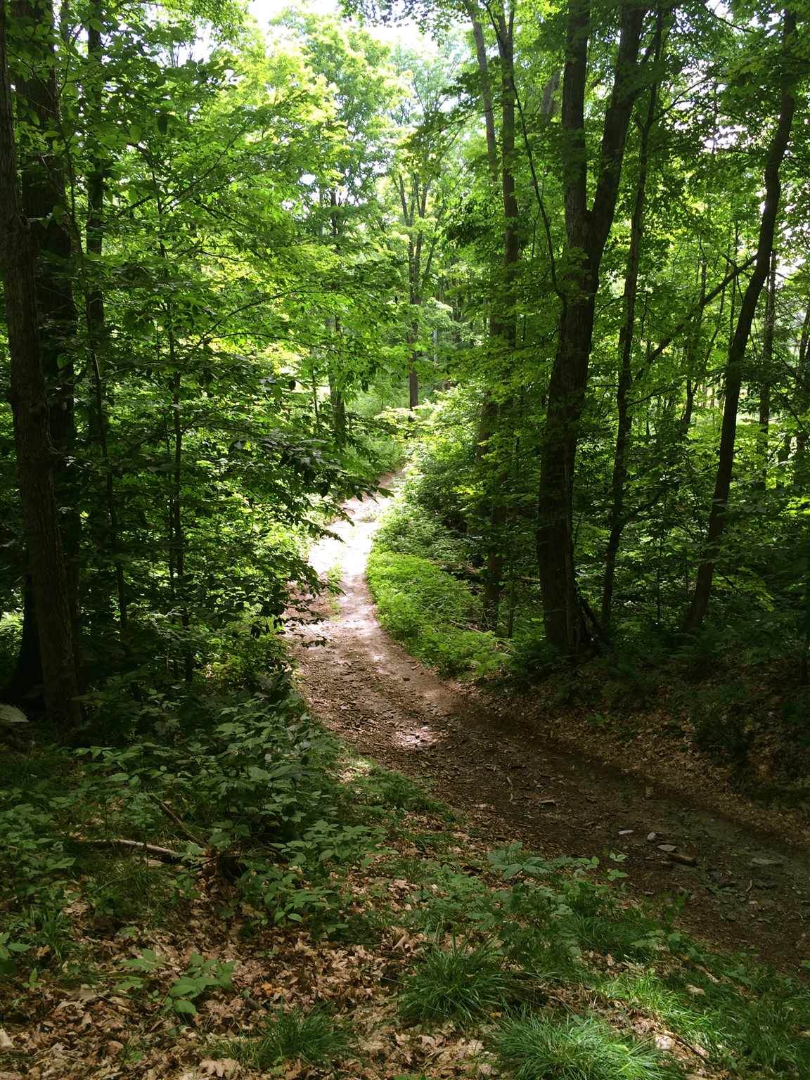 Joshua Road - Photo 1