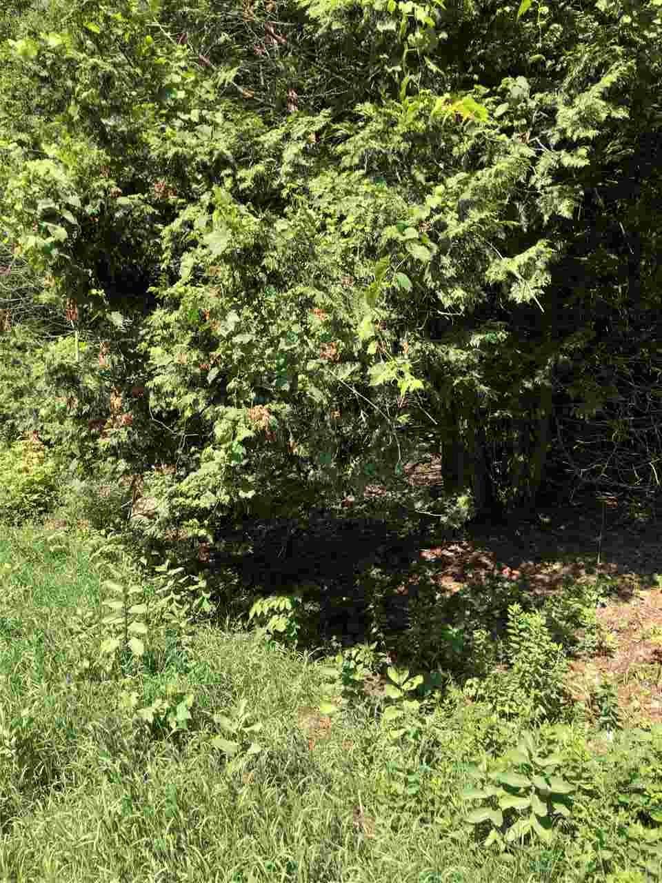 265 Sandy Bay Lot 66 Road - Photo 1