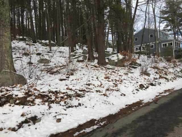 14 Varney Point Road Right - Photo 1