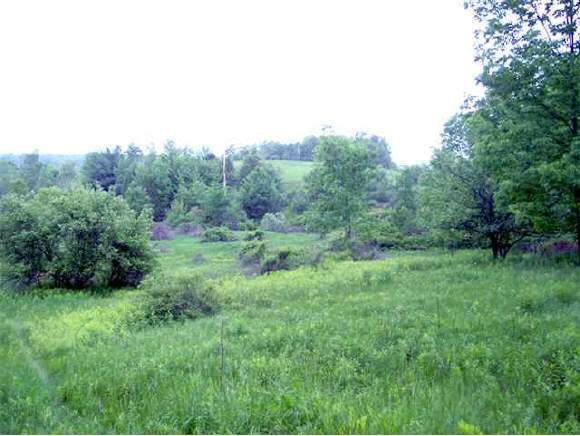 575 Route 4 East - Photo 1
