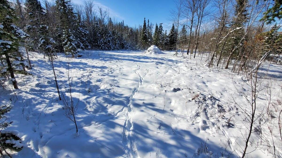 0 Lazy Mill Road - Photo 1