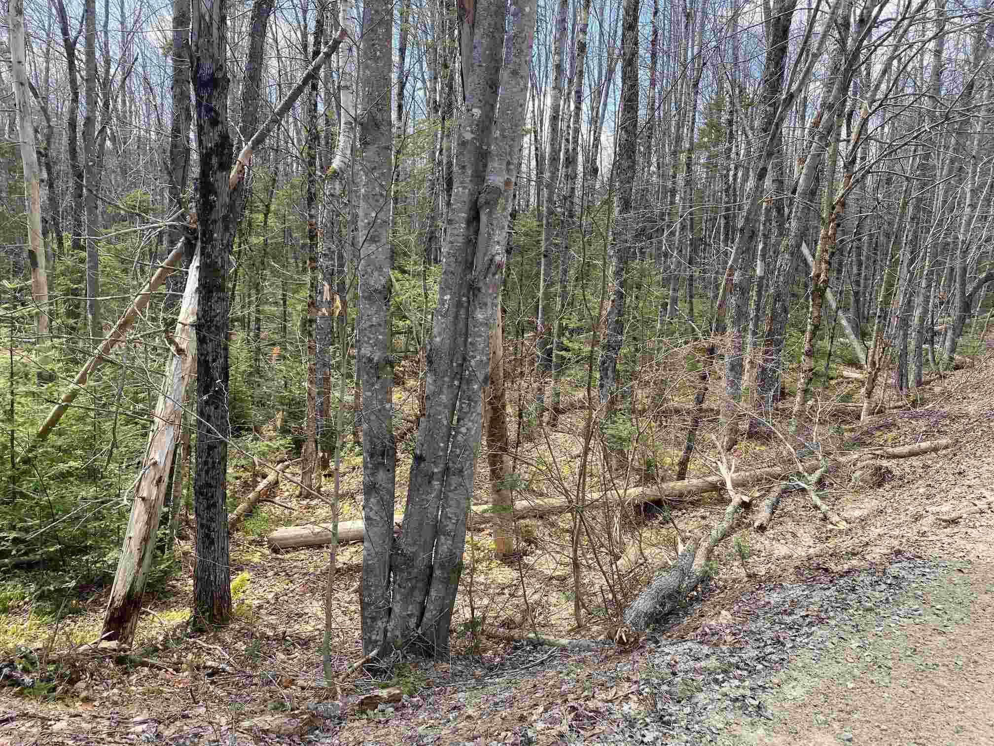Stowell Road - Photo 1