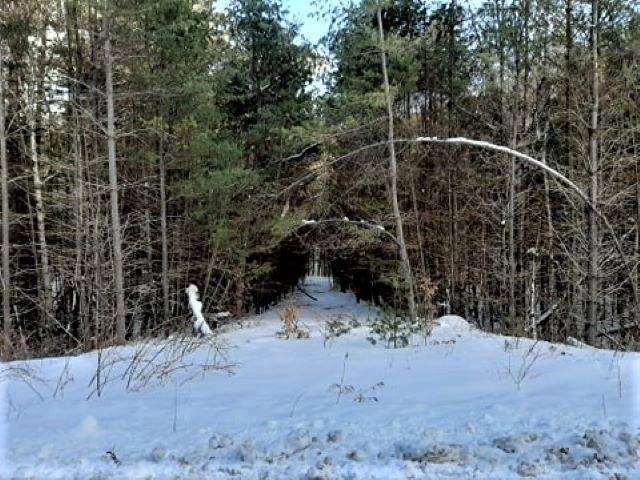 Mountain View Drive - Photo 1