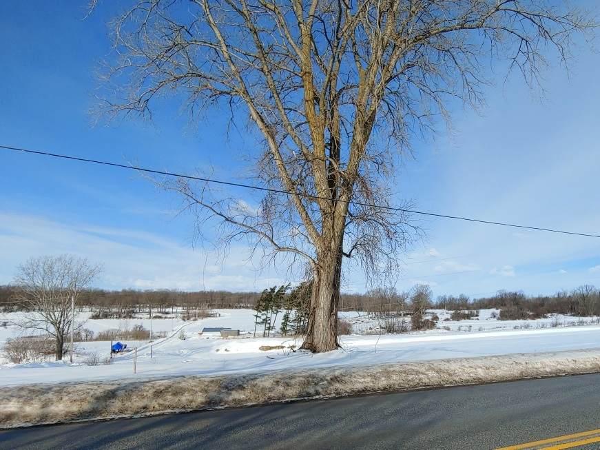Lot 9 Brigham Road - Photo 1