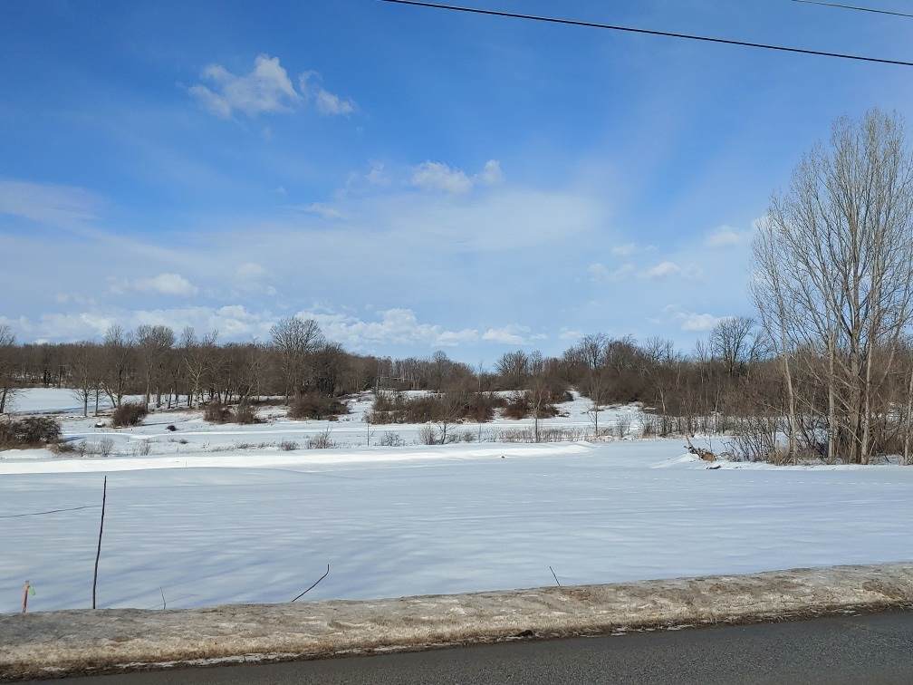 Lot 12 Brigham Road - Photo 1