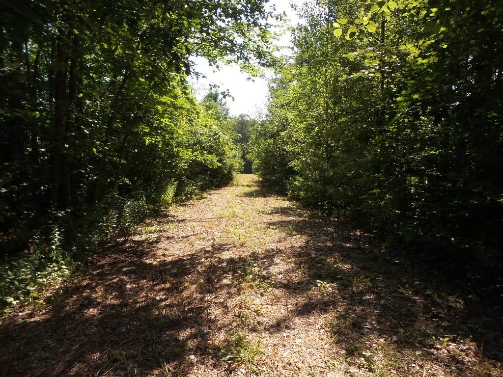 0 Henniker Street - Photo 1