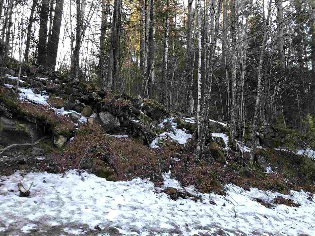 Misquitoville Road - Photo 1